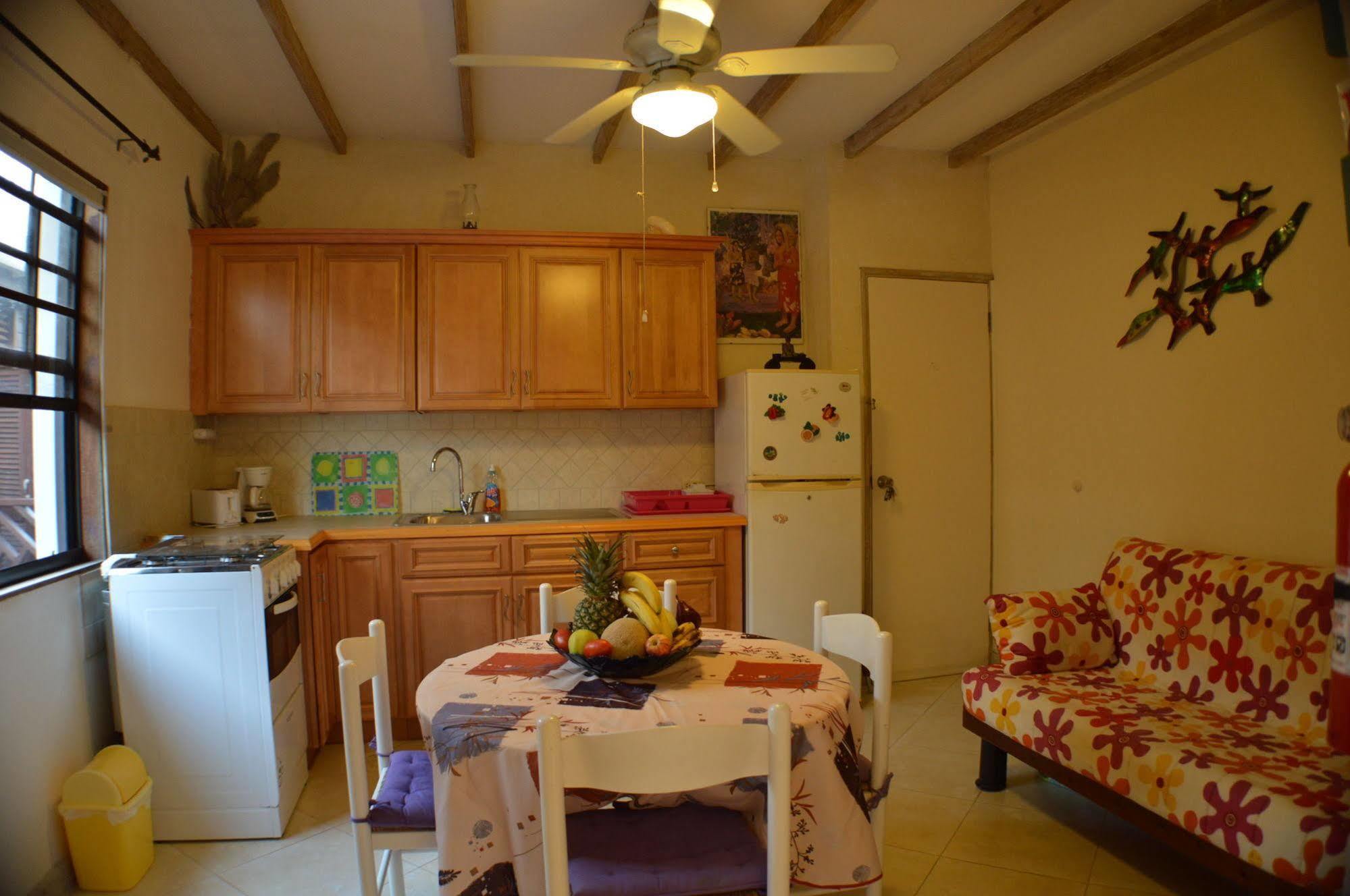 Yellow Bird Apartment كرايست تشيرش المظهر الخارجي الصورة